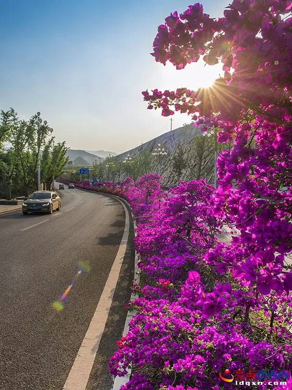 兴义气候最好的城市,兴义小春城