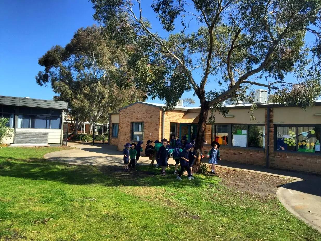 图说：在澳洲的日常（4）｜陈秋平