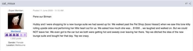 喵对你眨眼睛,猫咪爱上你的套路