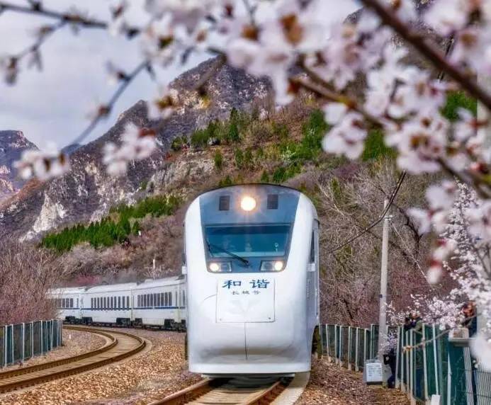 美爆了，让我们乘着长安号，去长城看花！