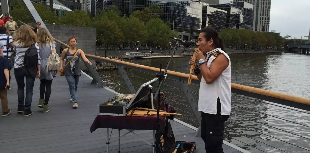 图说：在澳洲的日常（4）｜陈秋平