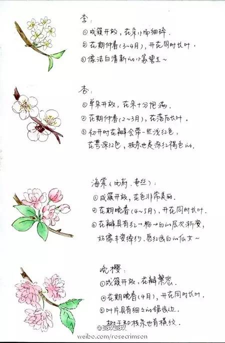 桃花季｜今天的沈阳，桃花开了，春风十里，挑一天走起……