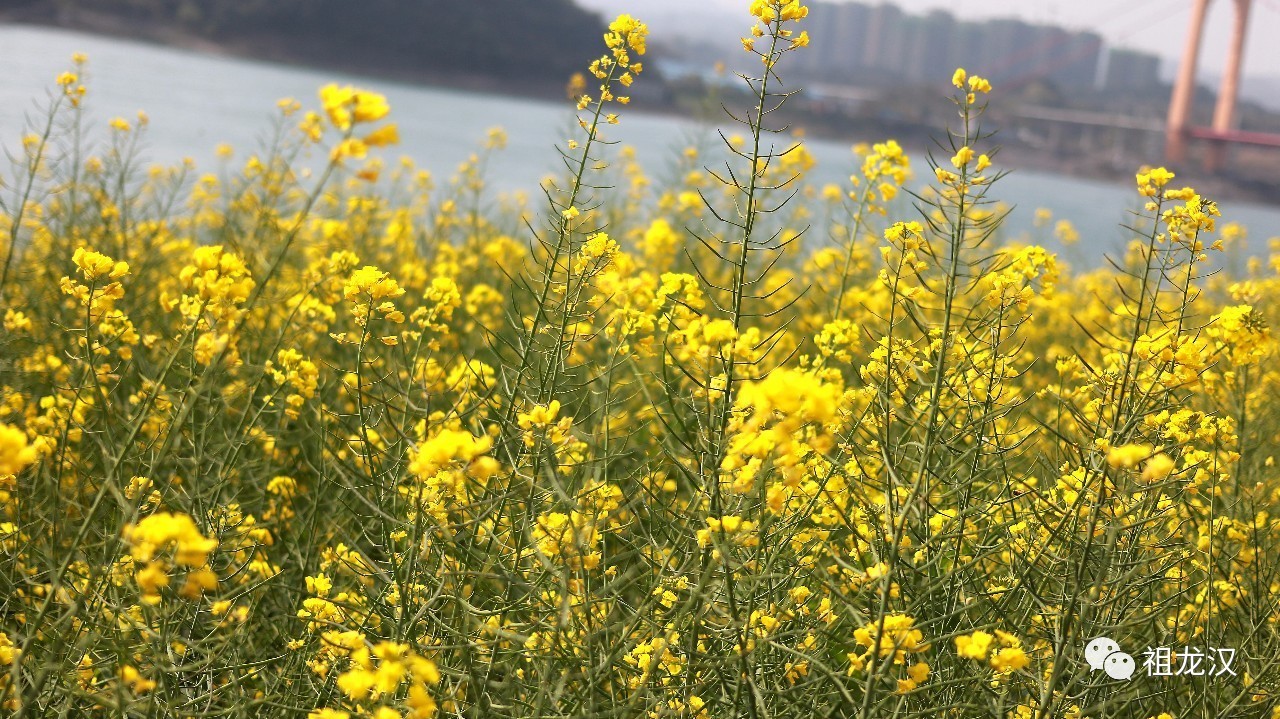 人生，难免因果重重：《易本道》第19期