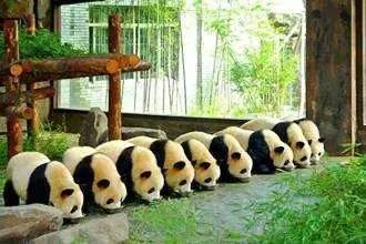 上海奉贤一日游最佳景点一览表,上海宝山区最值得去的五个景点