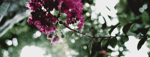 U-TOP10｜无添加到底是什么鬼，为什么人人都爱它？