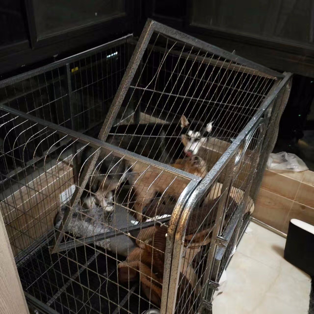 原谅我这一生不羁放纵完整版,原谅我这一生不羁放纵群星版