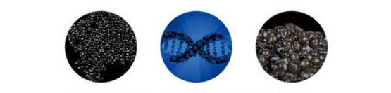 5折福利｜专治重度美颜相机依赖症的英国古方药妆