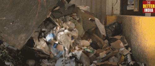 这个从垃圾山中成长起来的印度小伙，为了拯救环境，发明了一款可以吃的塑料袋