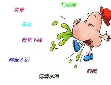 「人民爱鼻行动」过敏原，我该拿你怎么办？