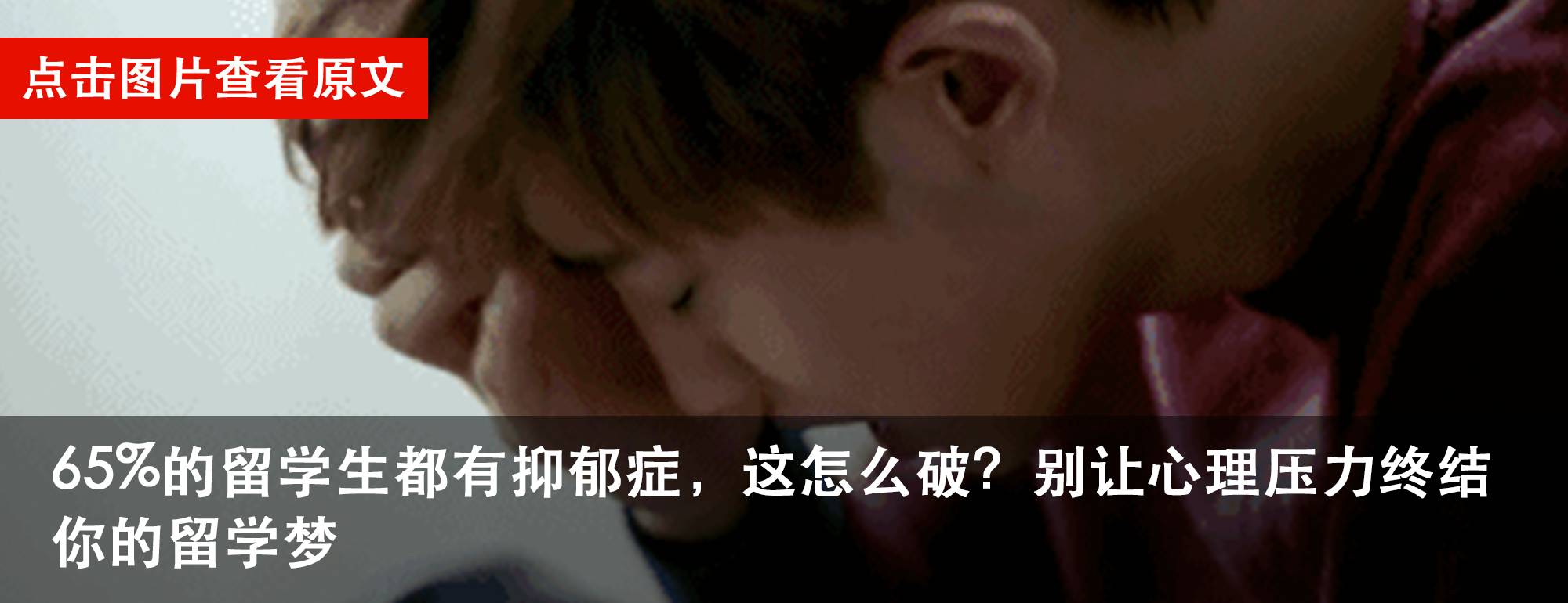 哈佛中国学生回国,哈佛退学中国留学生