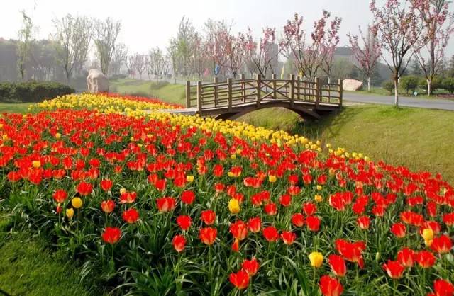 国色天相倾国倾城，“阳澄湖”牵手“太湖”，在相城遇见最美的你