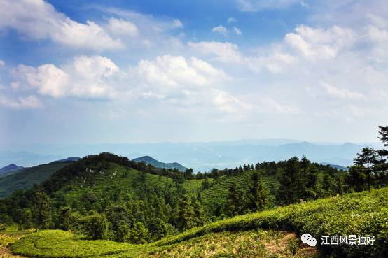 走遍江西100县永修县,走遍江西100县