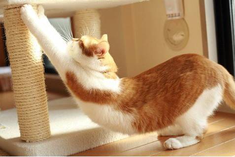 延年益寿秘诀100条,延年增寿的方法