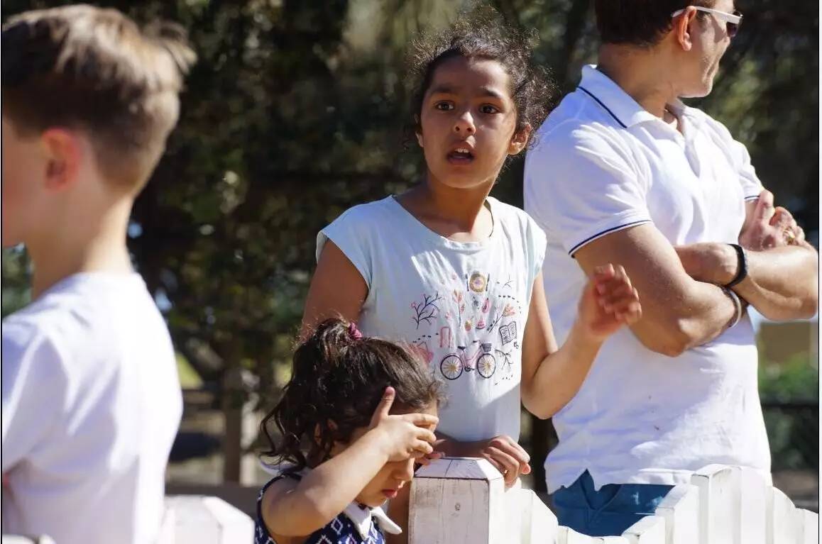 图说：在澳洲的日常（4）｜陈秋平