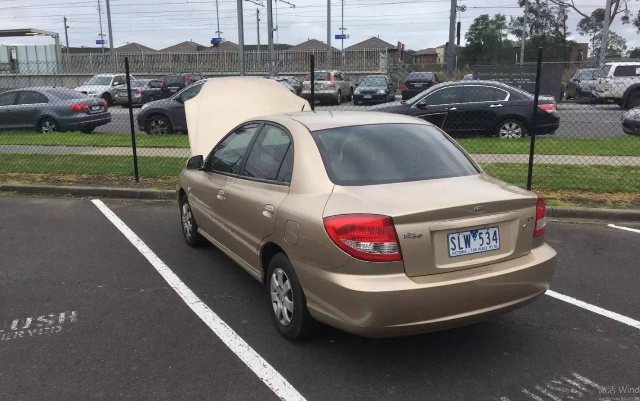 图说：在澳洲的日常（4）｜陈秋平