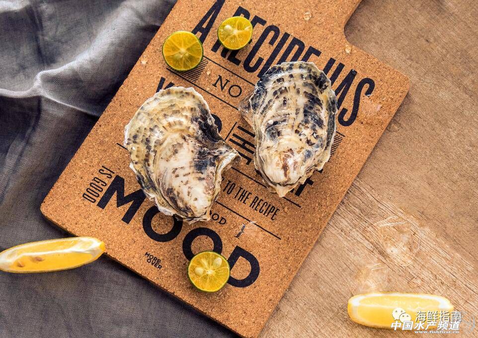 新西兰青口贝哪个好吃,鲍鱼扇贝生蚝哪个最好吃