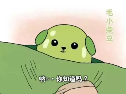 关于二次元的广告视频,二次元适合哪些广告