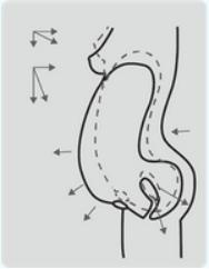 「福利」生完孩子千万别忘了这件事！盆底功能免费筛查，你预约了吗？关注盆底健康，做幸福女人！