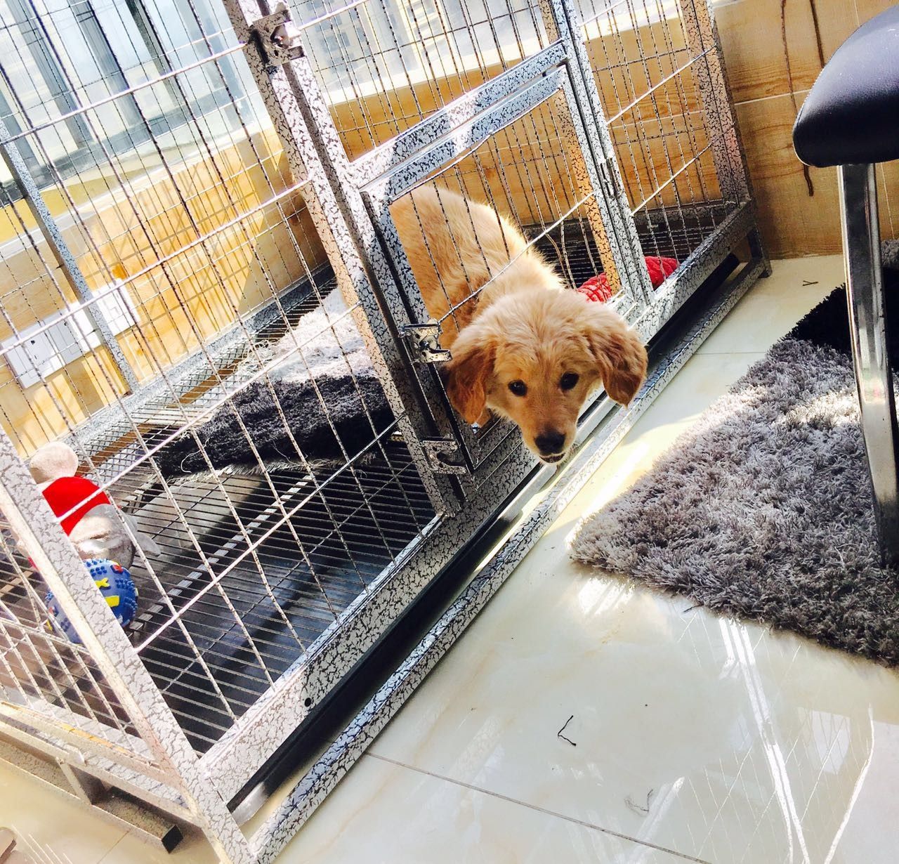 原谅我这一生不羁放纵完整版,原谅我这一生不羁放纵群星版