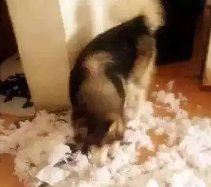 原谅我这一生不羁放纵完整版,原谅我这一生不羁放纵群星版