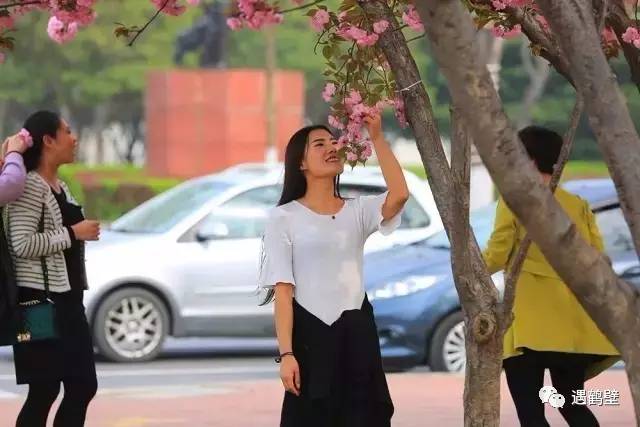 寻找紧急扩散人员名单,紧急寻找紧急扩散