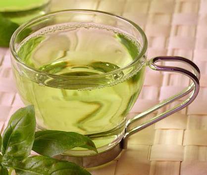 有关崂山的知识,崂山茶园知识