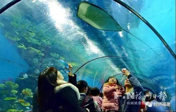 福建1-5月经济数据,福建省经济预测报告