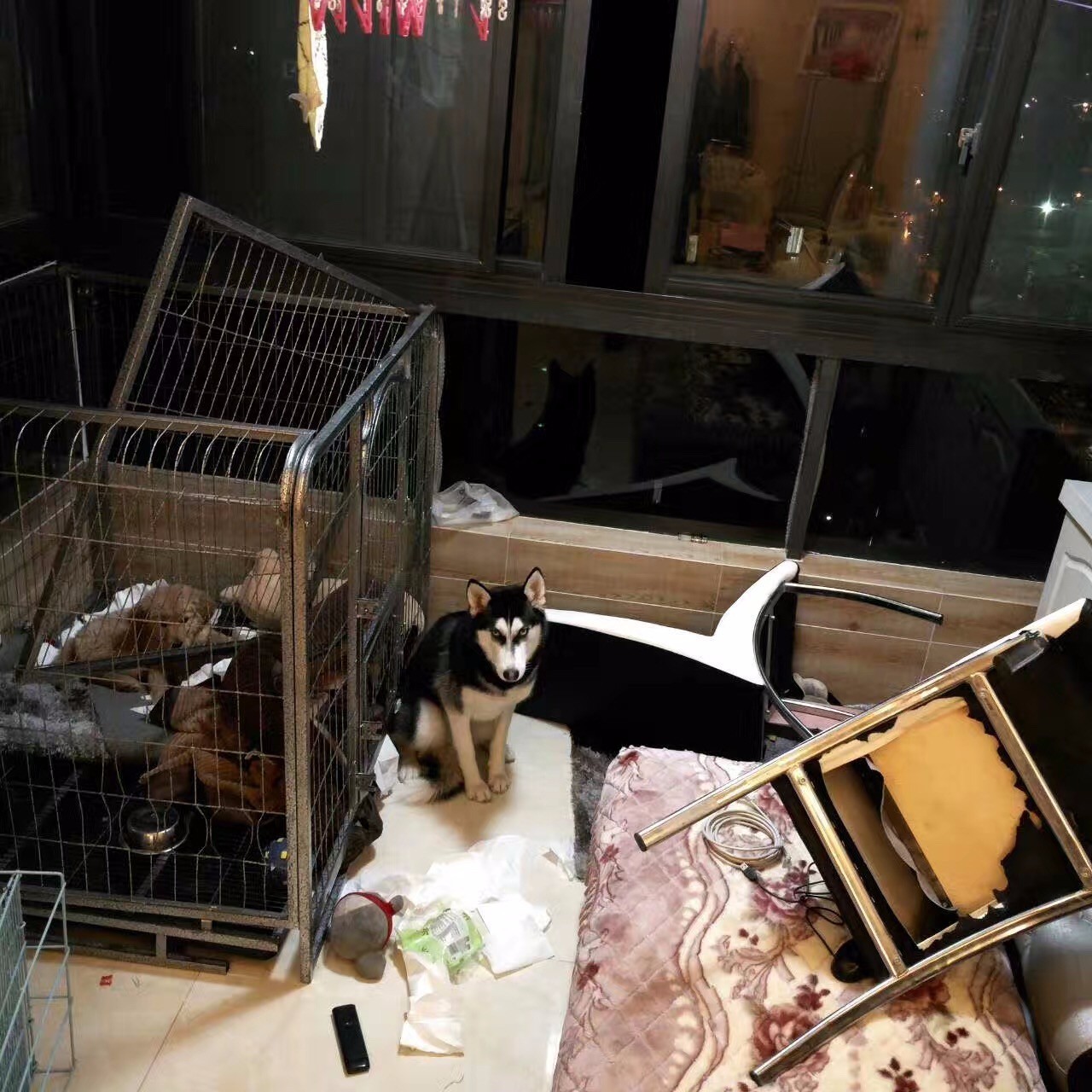 原谅我这一生不羁放纵完整版,原谅我这一生不羁放纵群星版