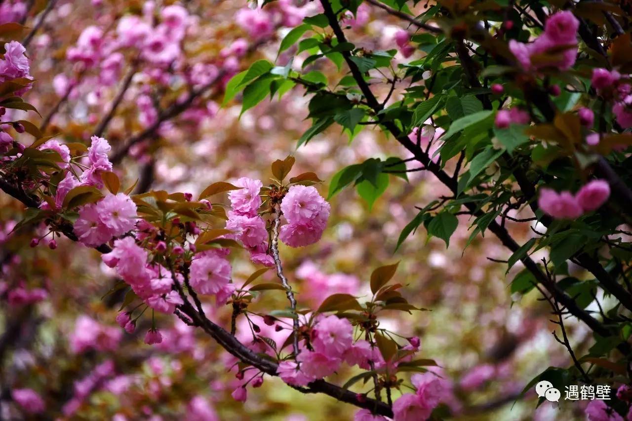 寻找紧急扩散人员名单,紧急寻找紧急扩散