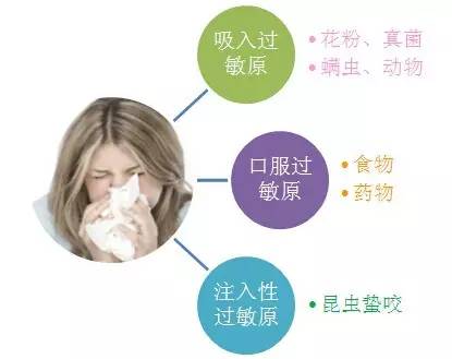 「人民爱鼻行动」过敏原，我该拿你怎么办？