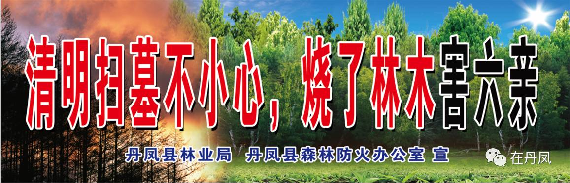 奶奶五七祭奠孙子买啥,奶奶五七祭奠孙女能买吃的东西吗