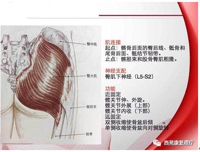 西苑康复理疗,西苑康复医院