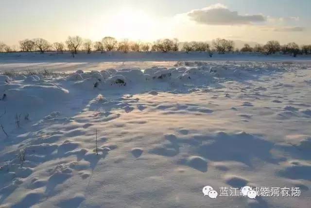 老景讲电影,老景讲历史