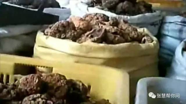拔剑泉边洗“胎盘”，老人称购自医院！“人肉”补品靠谱吗？