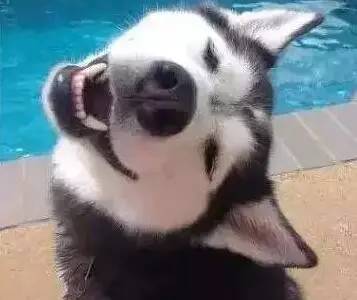 原谅我这一生不羁放纵完整版,原谅我这一生不羁放纵群星版