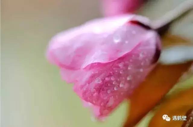 寻找紧急扩散人员名单,紧急寻找紧急扩散