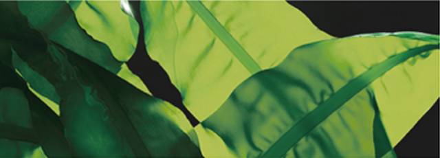 5折福利｜专治重度美颜相机依赖症的英国古方药妆