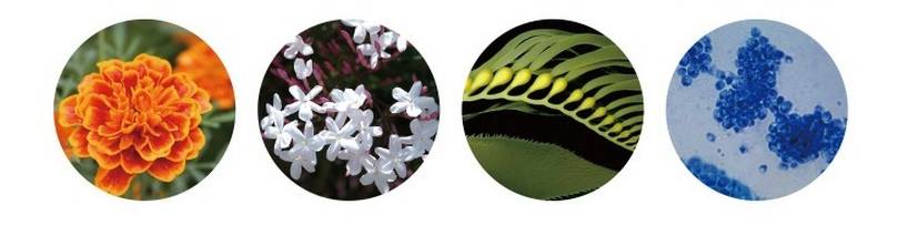 5折福利｜专治重度美颜相机依赖症的英国古方药妆