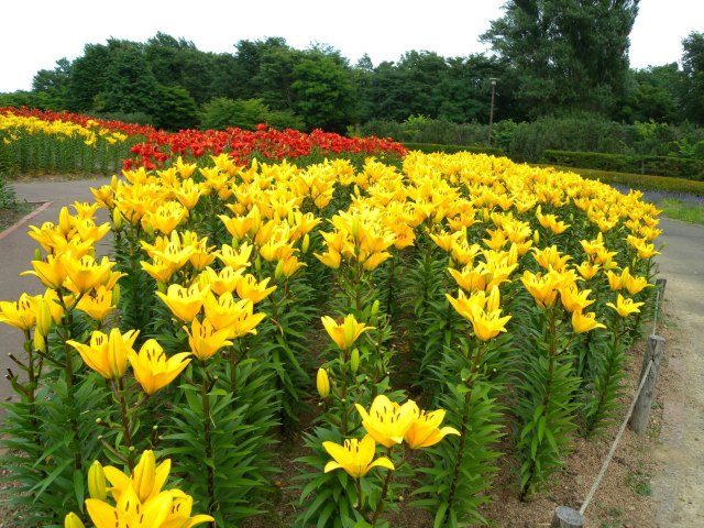 私北海道（完附名古屋小记）,4