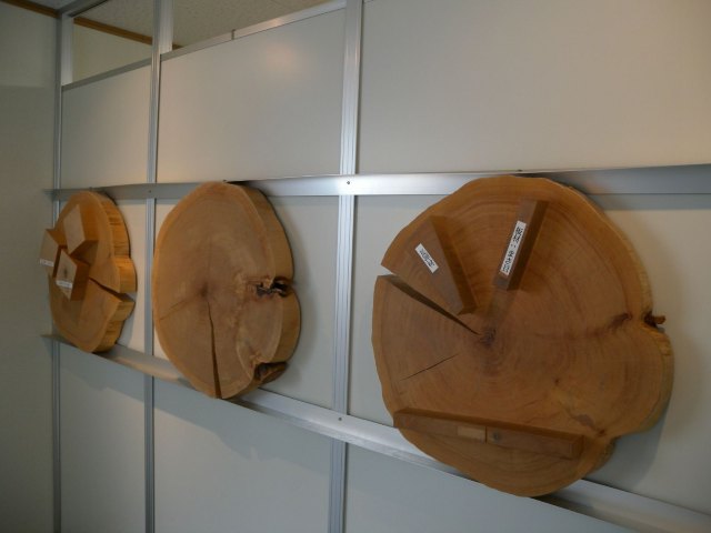 私北海道(完附名古屋小记),4