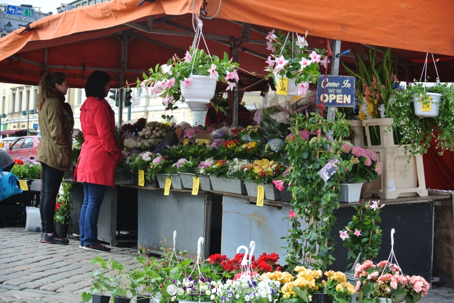 波罗的海的女儿歌词,波罗的海的女儿是芬兰的哪里