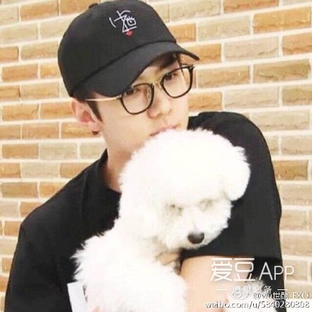 exo11周年见面会吴世勋自我介绍,exo吴世勋最近消息