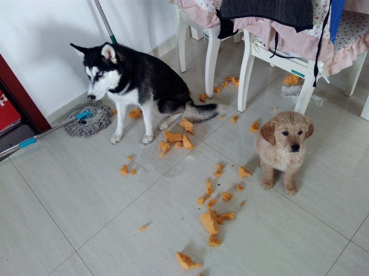 原谅我这一生不羁放纵完整版,原谅我这一生不羁放纵群星版