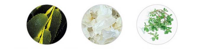 5折福利｜专治重度美颜相机依赖症的英国古方药妆