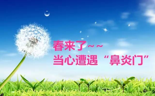 「人民爱鼻行动」过敏原，我该拿你怎么办？