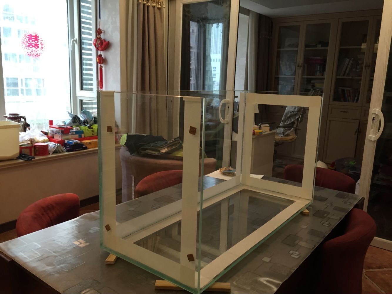 浮云社合集,小鱼缸隔离缸diy