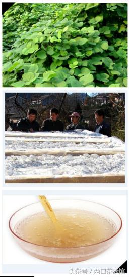 大别山深处的绝美山珍！