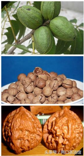 大别山深处的绝美山珍！