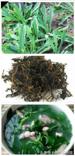 大别山深处的绝美山珍！