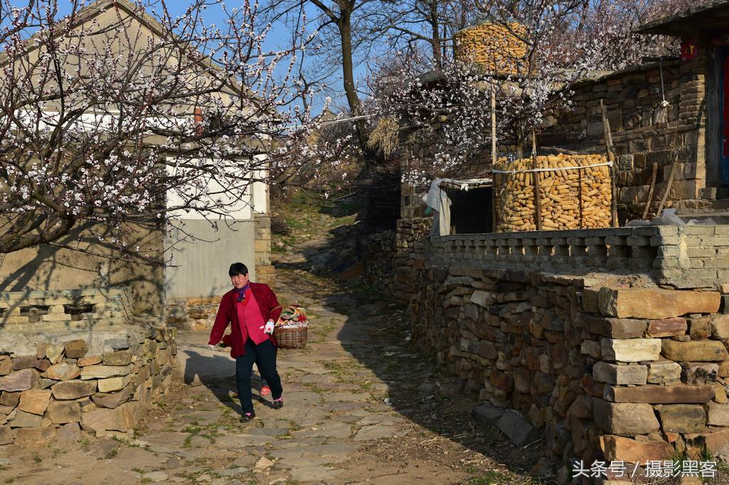 濞佹捣涔冲北妯辨,灞变笢涔冲北妯辨